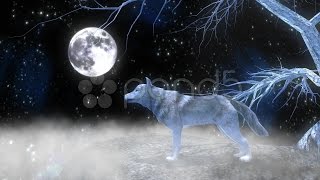 Wolf Howling At The Moon Animation. Stock Footage