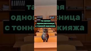 #Коты #Смех #Fypシ #Заболел #Мемы #Пов #Кот #Мой #Когда #Я