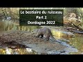 Le bestiaire du ruisseau   Part 2