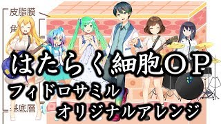 ?はたらく細胞OP cover（歌詞付き／フィドロサミルオリジナルアレンジ／歌ってみた）Cells at Work