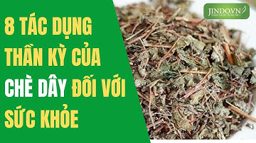 8 tác dụng tuyệt vời của chè dây với sức khỏe mà ít người biết tới |
