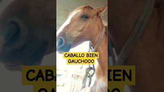 TENGO UN CABALLO BIEN GAUCHOO #shortsyoutube #Gaucho#shorts