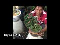 S38. Sam núi đẹp mọi người ủng hộ liên hệ 0934938011