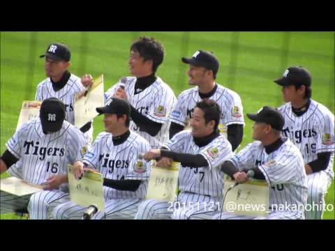 藤浪晋太郎 サイズアップ