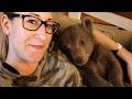 The only bear cub rescued from the fire refused to eat for days, and then...