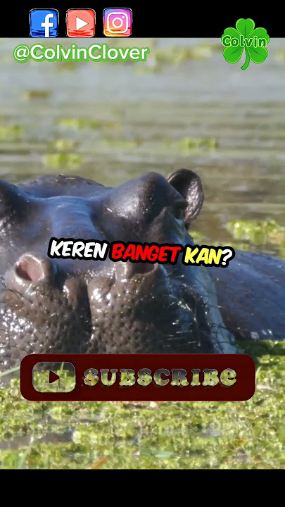 Fakta Receh Dunia Hewan Part 16 #facts #shorts