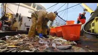 BRIXHAM TRAWLER TRIP
