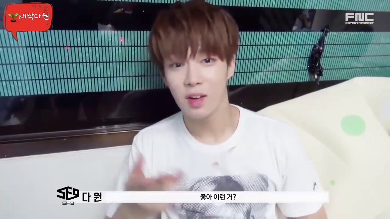 [SF9♡DAWON] 다원이의 19950724개의 매력 중 몇 가지 모음💘