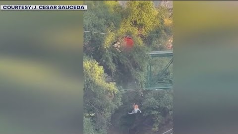 Boy survives 40-foot fall from zipline after harness snaps