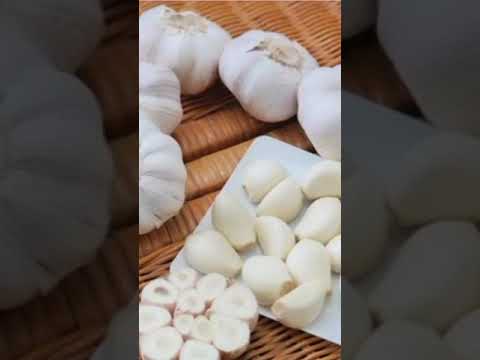 Борьба с белокрылкой