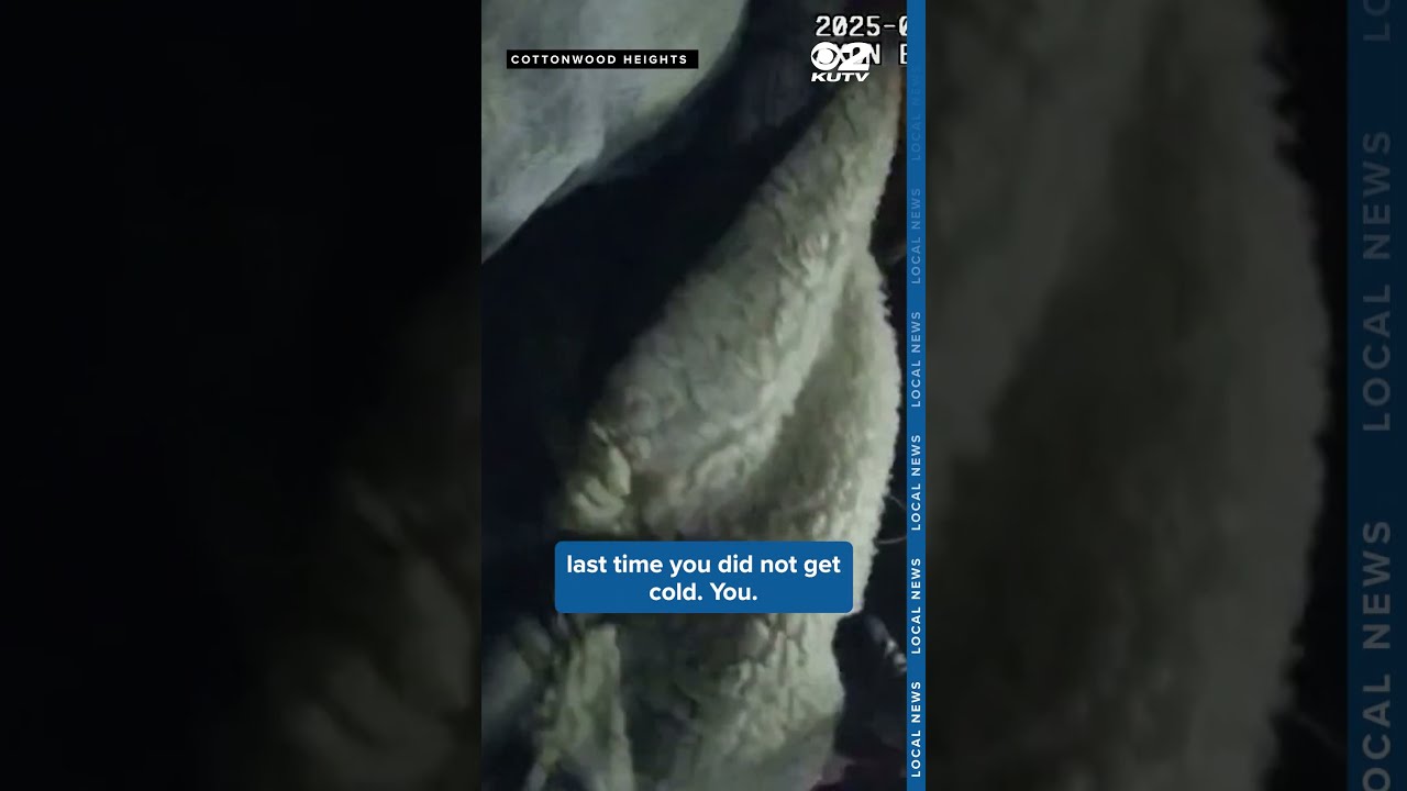 Bodycam Footage Shows Post Malone S Alleged Stalker Arrested For Third Time
