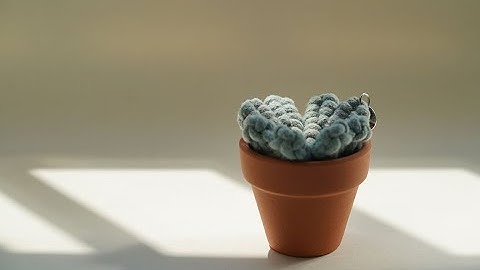 Beginner-friendly Diy Macrame Four-leaf Clover Tutorial