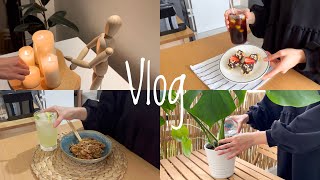 Ingilizce: 24| Silent Vlog | Chicken noodles with vegetables, cold brew, cibatta bread