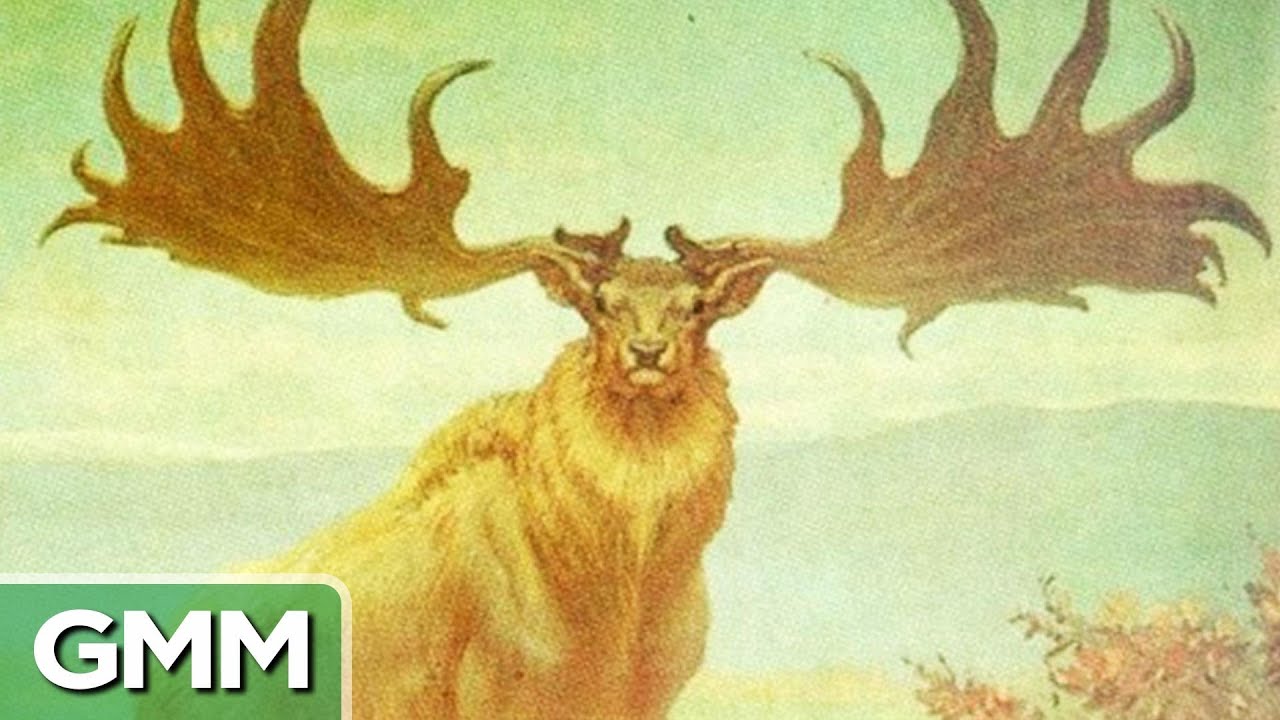 Animals, thanks to the extinction of which we are still alive Animals, thanks to the extinction of which we are still alive
