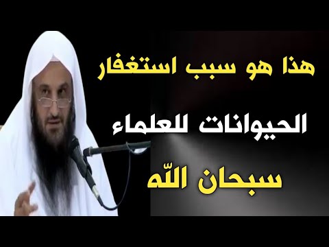 هذا هو سبب استغفار الحيوانات للعلماء سبحان الله | الشيخ عبدالرزاق البدر حفظه الله