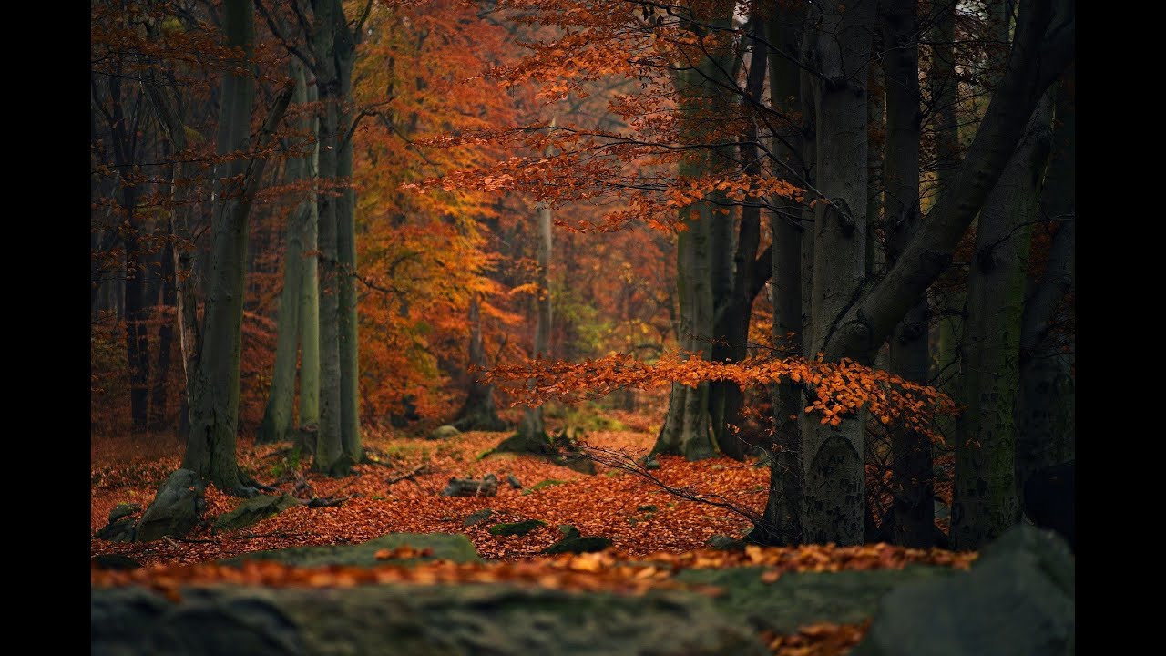 15 Min Meditation, Relaxing, Focus, Reiki. Beautiful 4k Pictures Nature