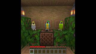 Dancing Parrots part 3 #minecraft