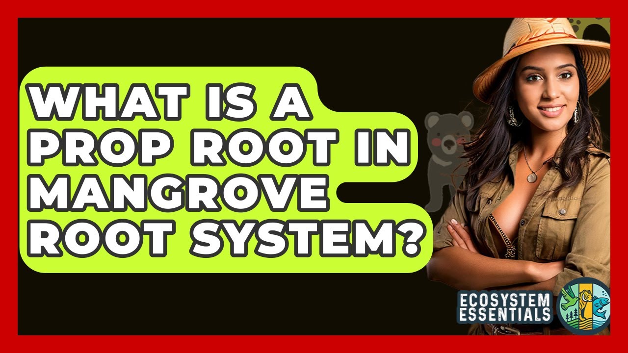 What Is A Prop Root In Mangrove Root System? - Ecosystem Essentials