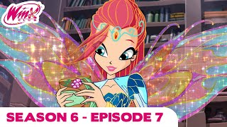 Winx Club  FULL EPISODE | The Lost Library | Season 6 Episode 7