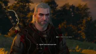 The Witcher 3 Bugged Merchant