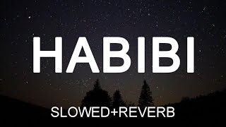 Habibi DJ gimi (slowed+reverb)