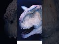 Los #Dinosaurios no solo son cosa de niños!