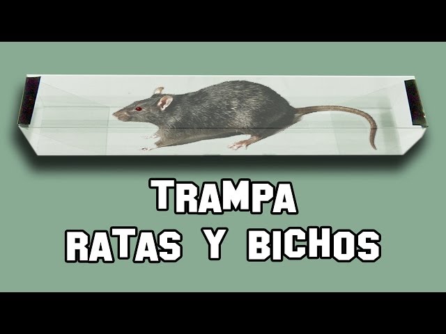 Glue Traps - Trampas de pegamento adherente para ratas y ratones