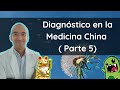 Diagnóstico V en la MTC 😀 ( Medicina Tradicional China): Síndromes por Zang Fu: Elemento Madera 🐲