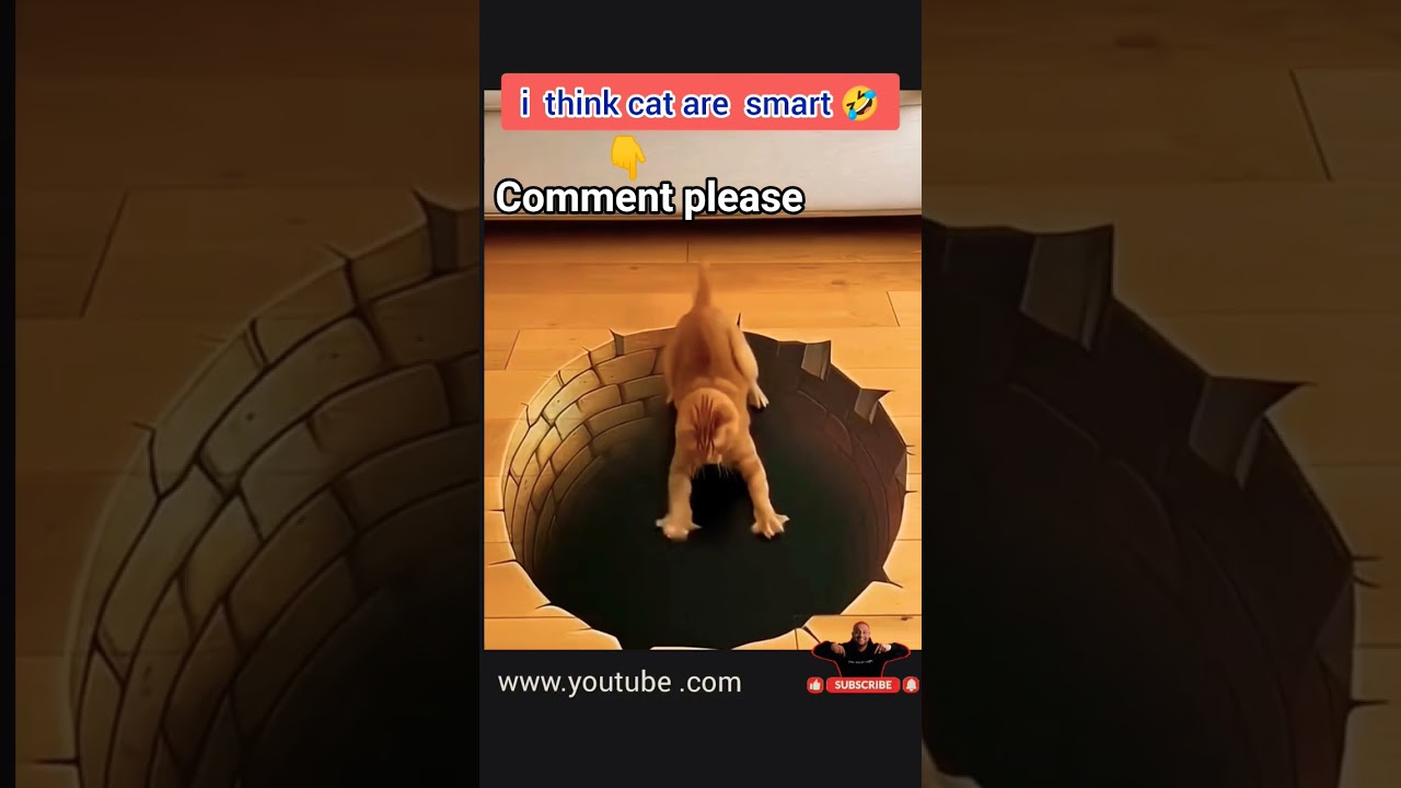 Best Ranking Cat Scared Video /Short/English/2025 🤣💀funny video/English