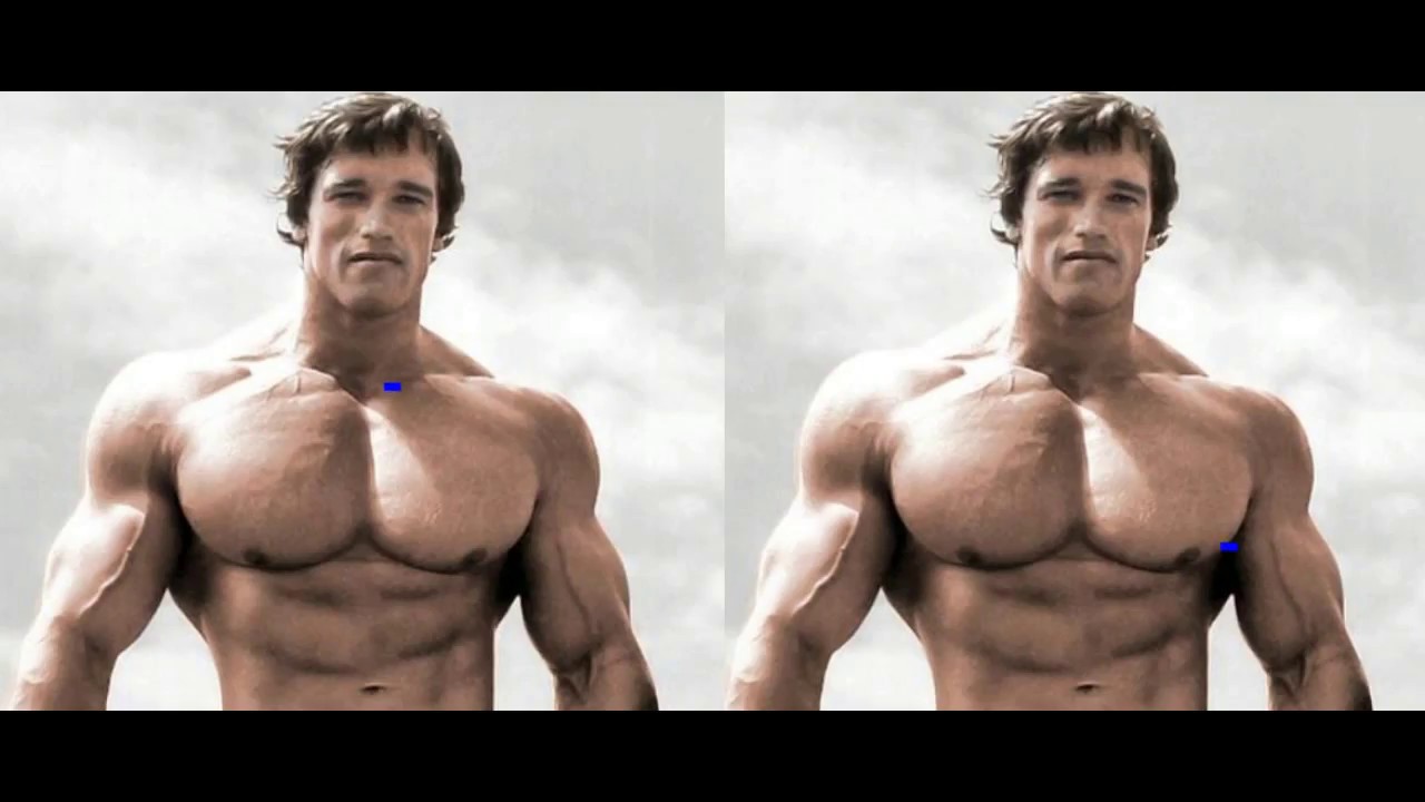 Top 10 Richest Bodybuilders In The World 2018 Youtube