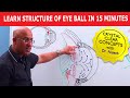 Learn Structure of Eye Ball in 15 Minutes!