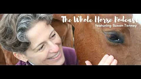 Whole Horse | What element is your horse + how kno...