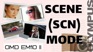 Olympus EM10 II - Scene (SCN) Mode. Explained and Tested - Ep006