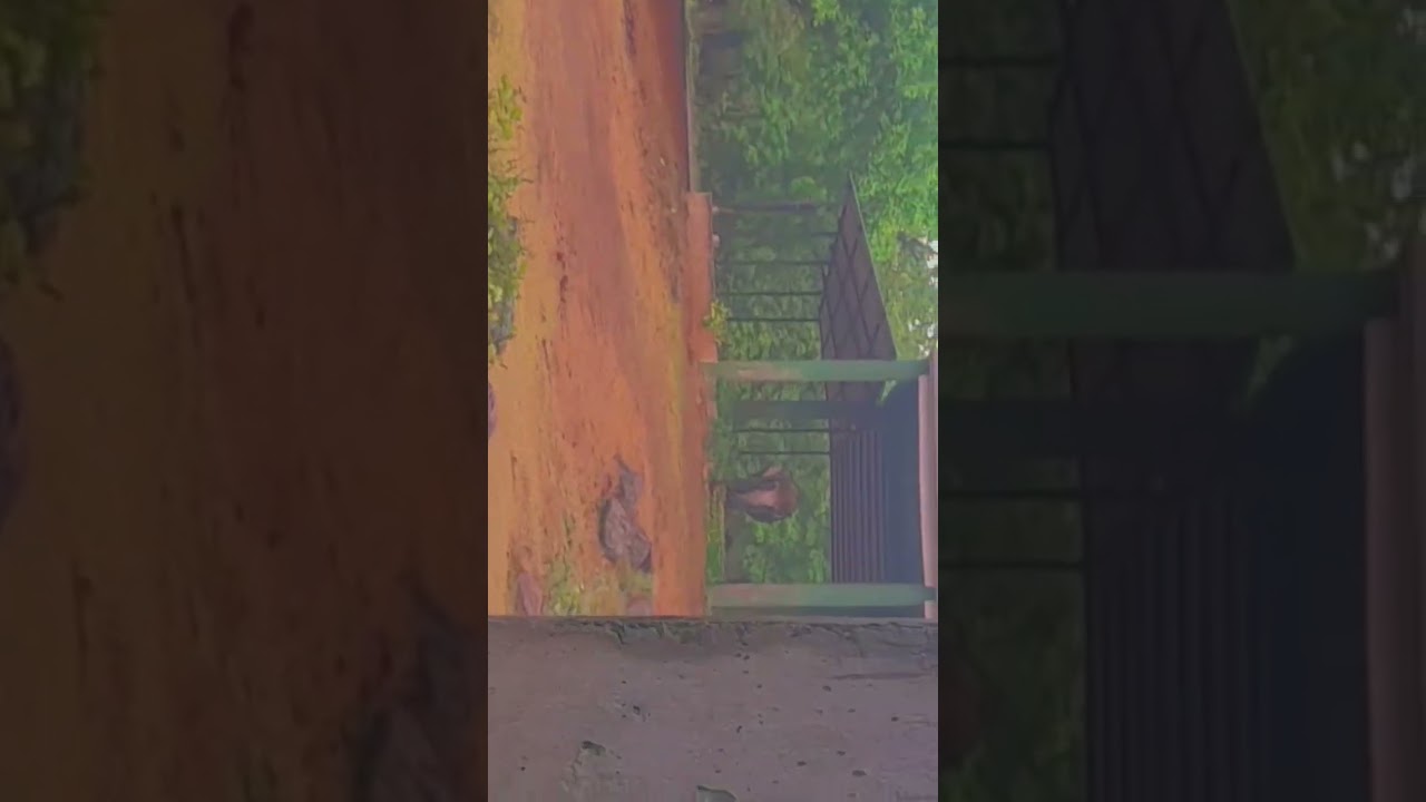 zoo Bhubaneswar Odisha 