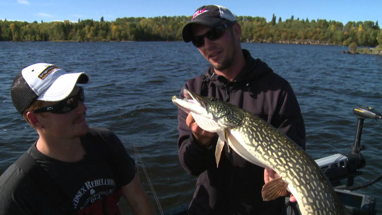 BIG Northern Pike on Lake of the Woods YouTube