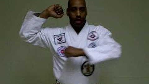 PanAmerican GoJu Ryu - MIDDLE BLOCK (UCHI UKE & SOTO UKE)