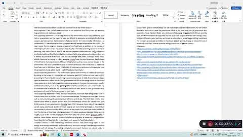 Presentation of  opinion piece by Liming Zhang