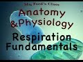 Cellular Respiration Quiz