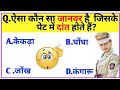 Gk question answer all competitive exams gk quiz  gulab gk study 