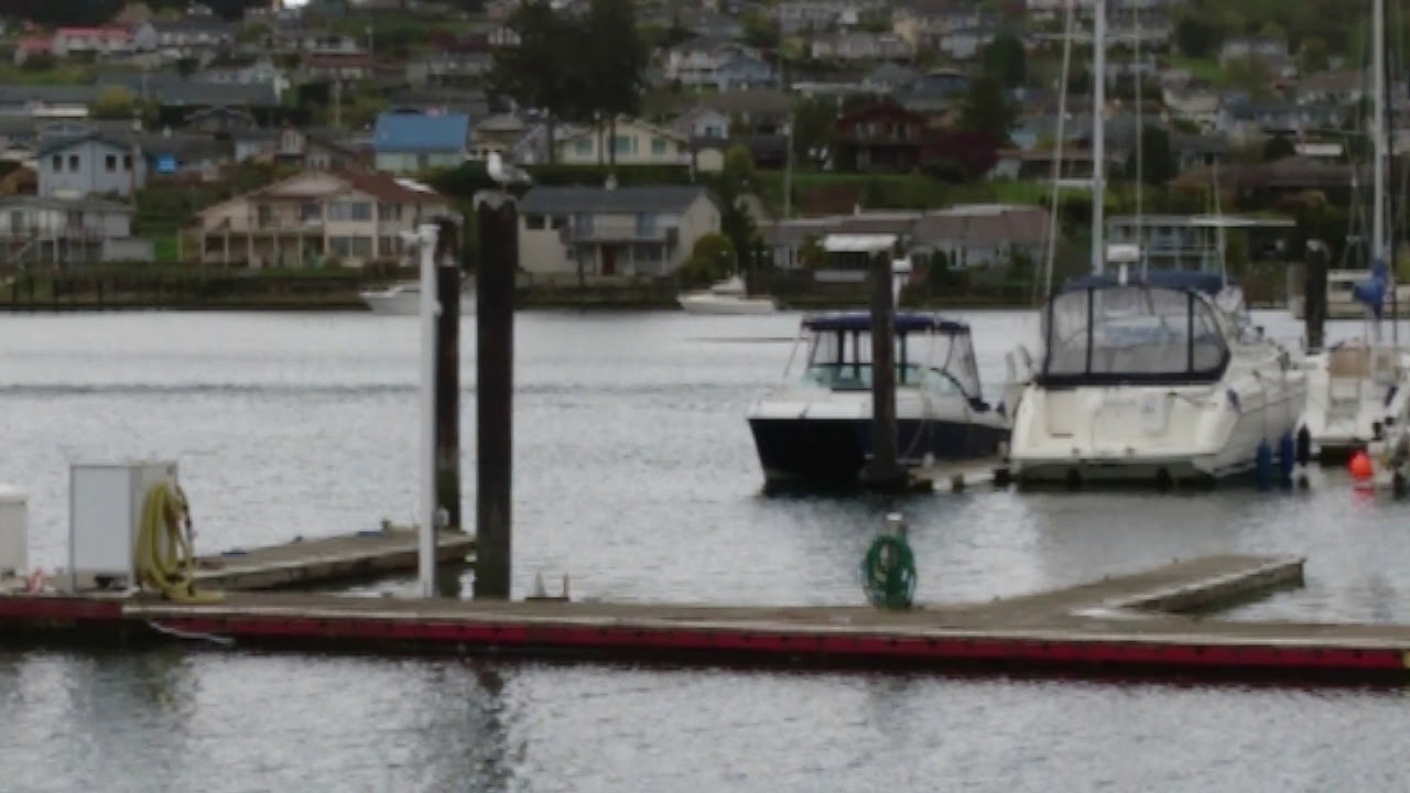 Hansville, Washington YouTube