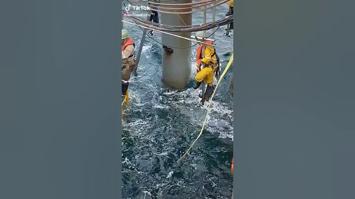 scaffolding work || #scaffolding#scaffold#scaffolder