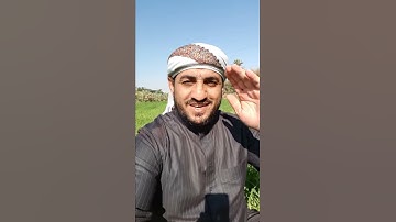 تعرف على اول من قرأ بالألحان والمقامات في تلاوة القرآن الكريم