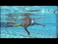 How to swim freestyle by shinji takeuchi  acceleration