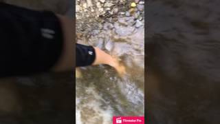 LAVA CHALLENGE IN PUBLIC GONE WRONG(Cops Called)
