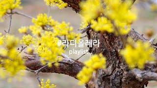 Playlist 산수유가 봄이라네 #봄 #봄노래