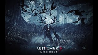 The Witcher 3 - Silver For Monsters Saz Cover