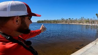 I Found an Awesome Little Beach Holding Giant Snook in Cape Coral Fl.