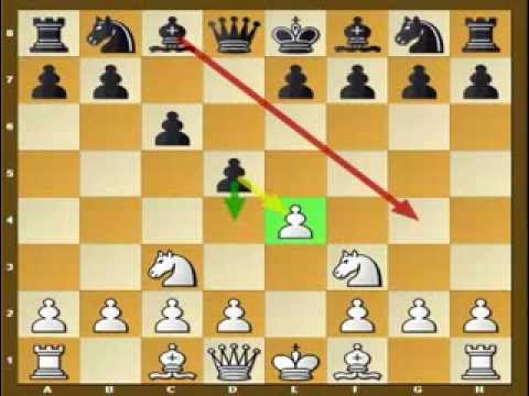 Win with Two Knights Defense as Black - Remote Chess Academy