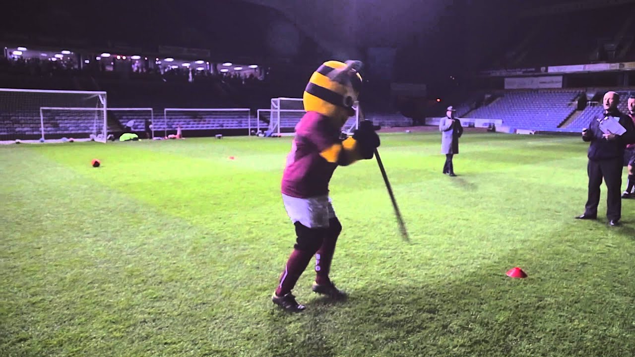 BERTIE GETS IN A SPIN