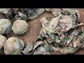 URGENT DES SOLDATS RDF RETROUVÉS MORTS APRÈS DES FRAPPES DES FARDC À MINEMBWE CE 4 6 